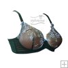 Classic bra Erica Sheer