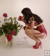 Erica Floral